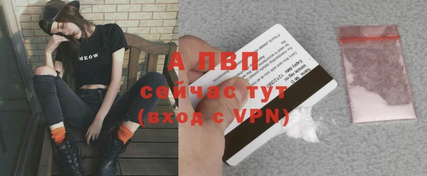 винт Каменногорск