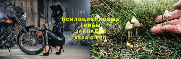 мефедрон мука Каменск-Шахтинский