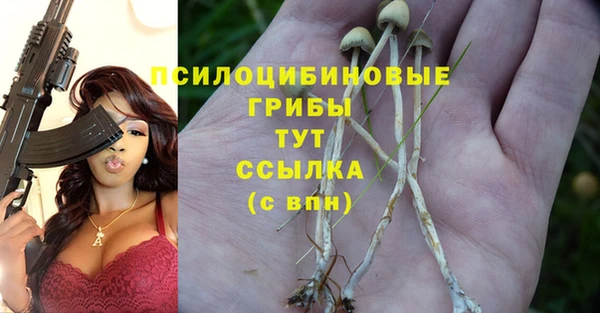 трава Каменка