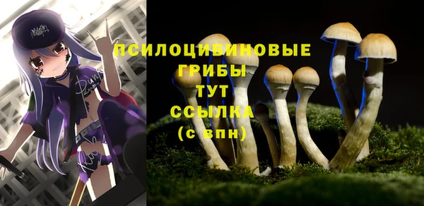 мефедрон мука Каменск-Шахтинский