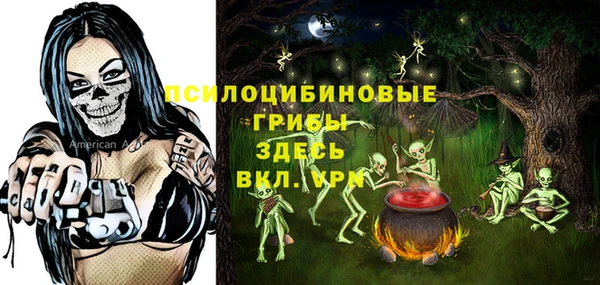 винт Каменногорск