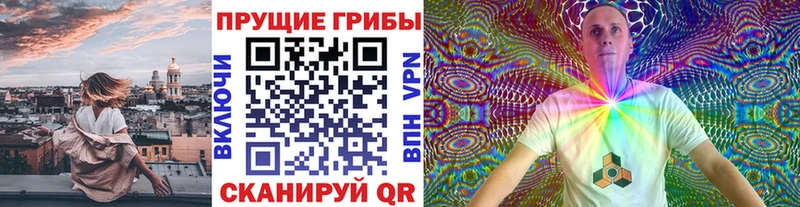 Купить закладки Балахна Псилоцибиновые грибы Magic Shrooms